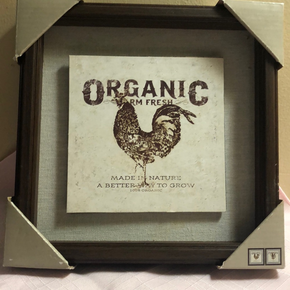 🐓 Organic Chicken Wall Sign